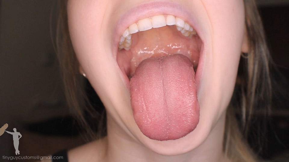 Zaurus Mouth Tongue Teeth Close Up