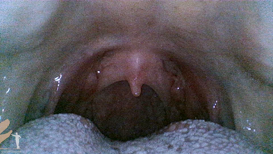 Mouth Cam - Lavendar - 1080
