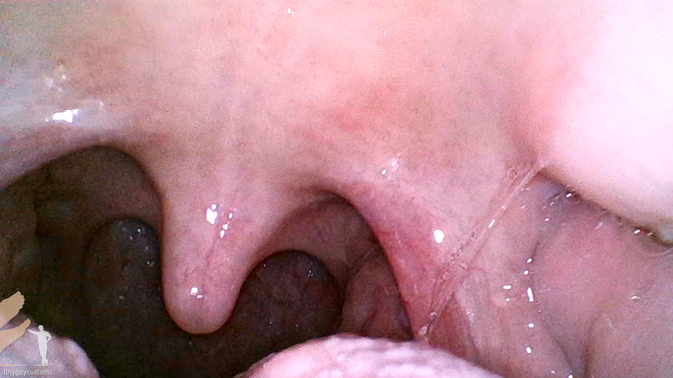 Mouth Cam - Titania Orion - 1080