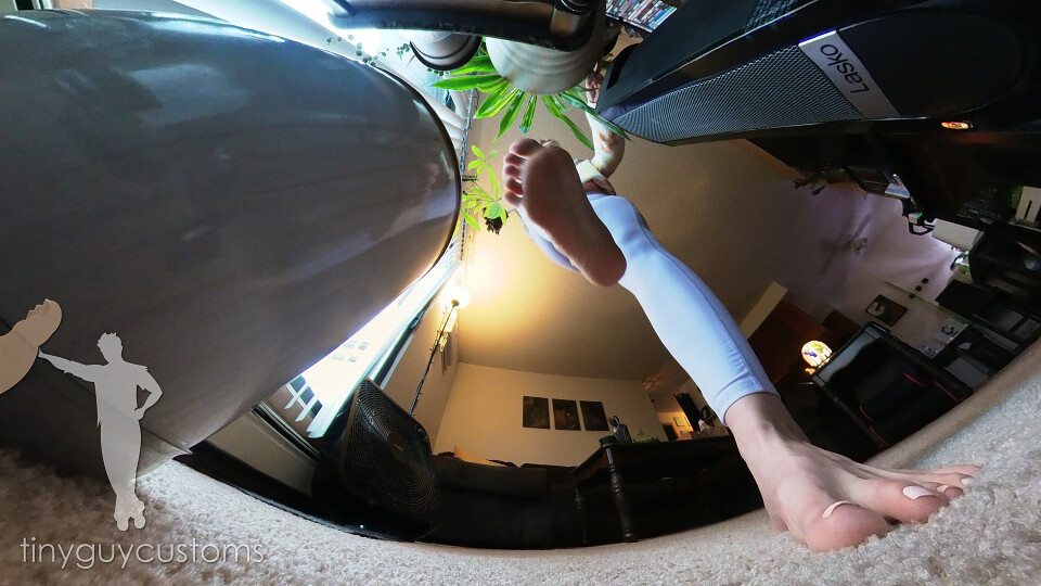 Harleen Tinys Mistaken for Bugs - VR360