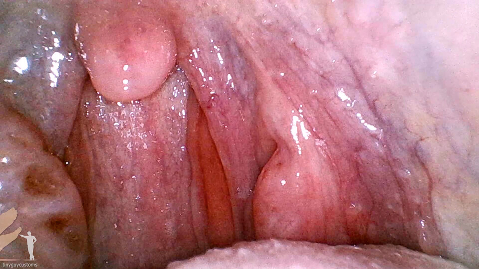 Mouth Cam - Cheyenne Jewel - 1080