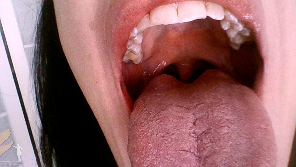 Mouth Cam - Miss Bat - 1080