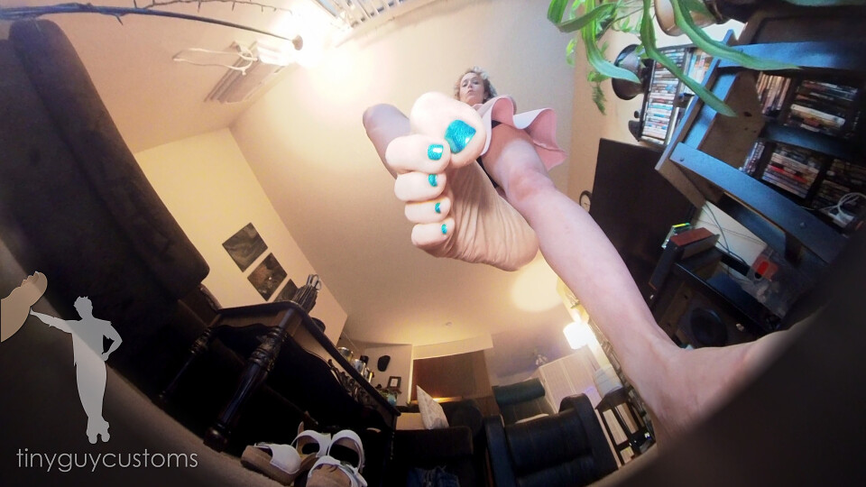 Remedy Shrunken Landlord - VR360