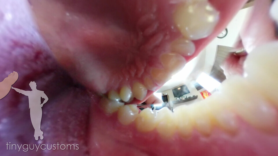 Remedy Shrunk Toothache Inspector Vore - VR360